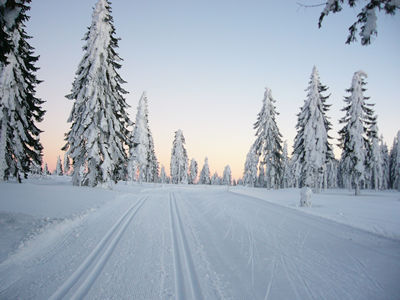 Winter%20im%20Bayerischen%20Wald%20Langlaufen.jpg